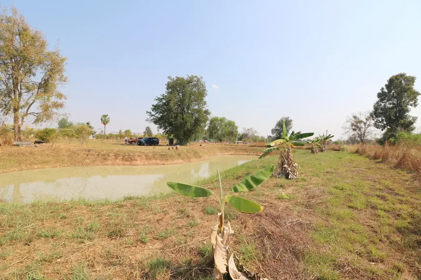 3 Rai Land + 1 Bed Bungalow for Sale in Ban Fang, Khon Kaen, Thailand