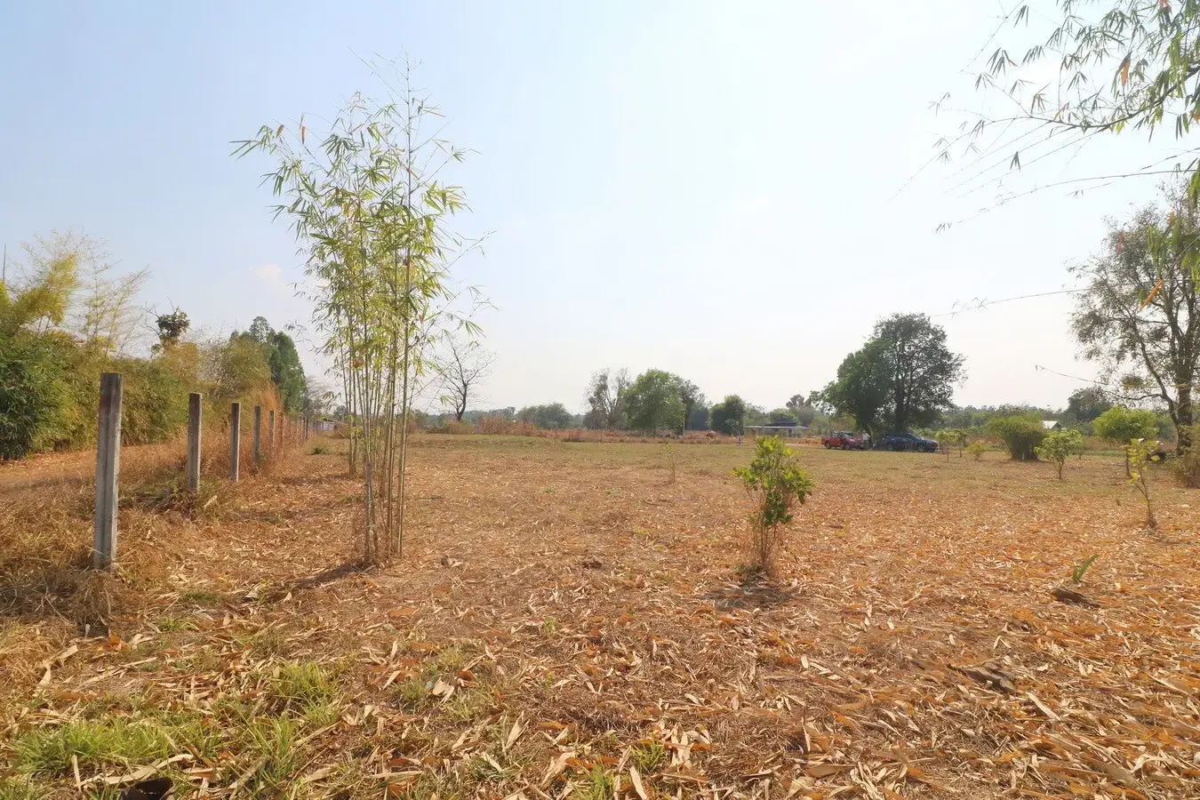 3 Rai Land + 1 Bed Bungalow for Sale in Ban Fang, Khon Kaen, Thailand