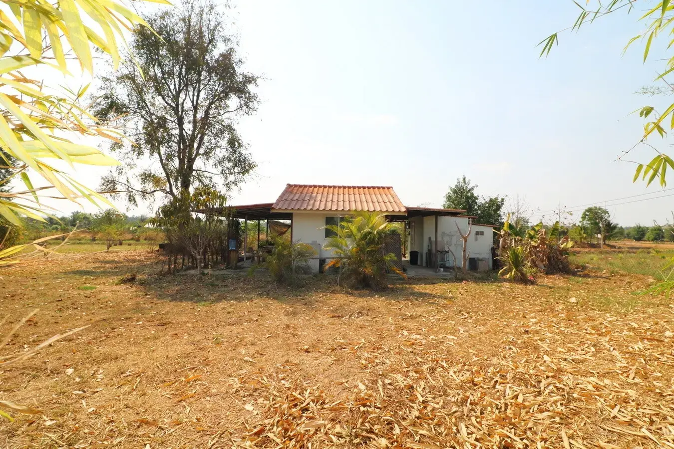 3 Rai Land + 1 Bed Bungalow for Sale in Ban Fang, Khon Kaen, Thailand