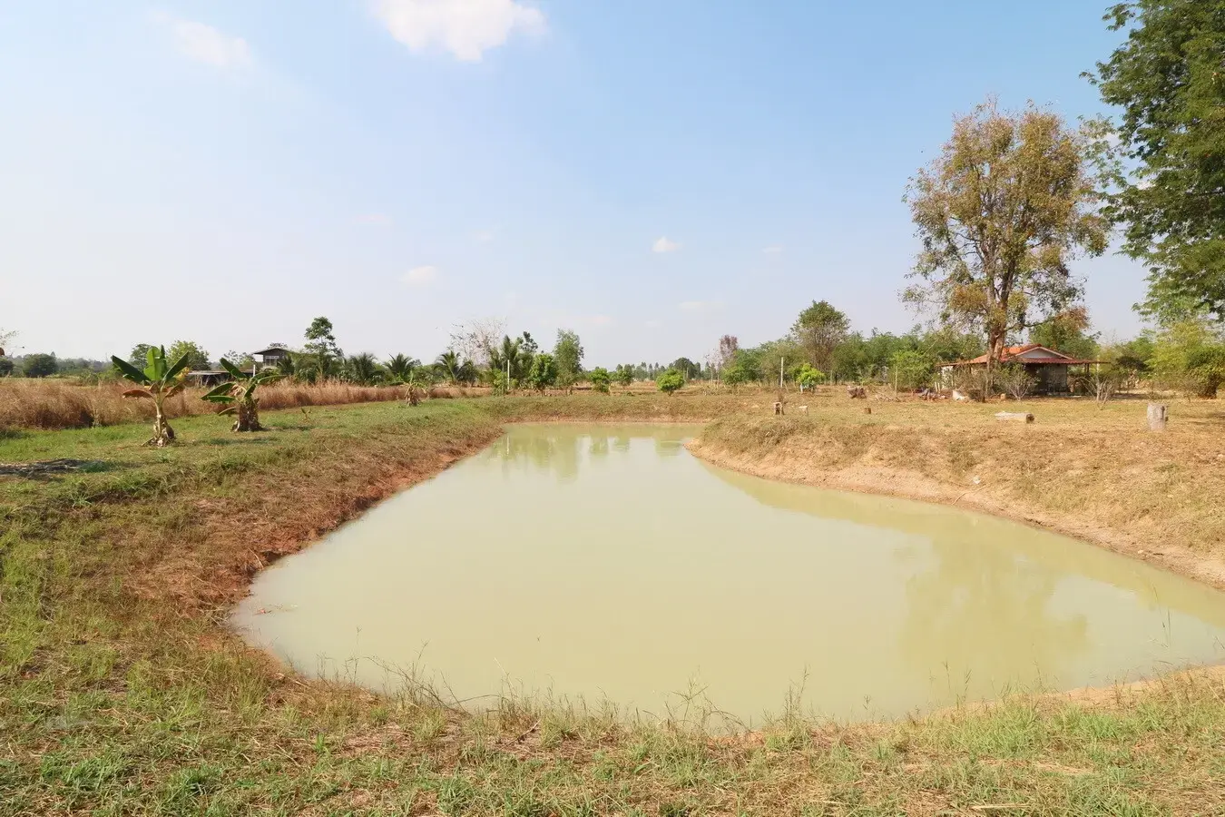 3 Rai Land + 1 Bed Bungalow for Sale in Ban Fang, Khon Kaen, Thailand