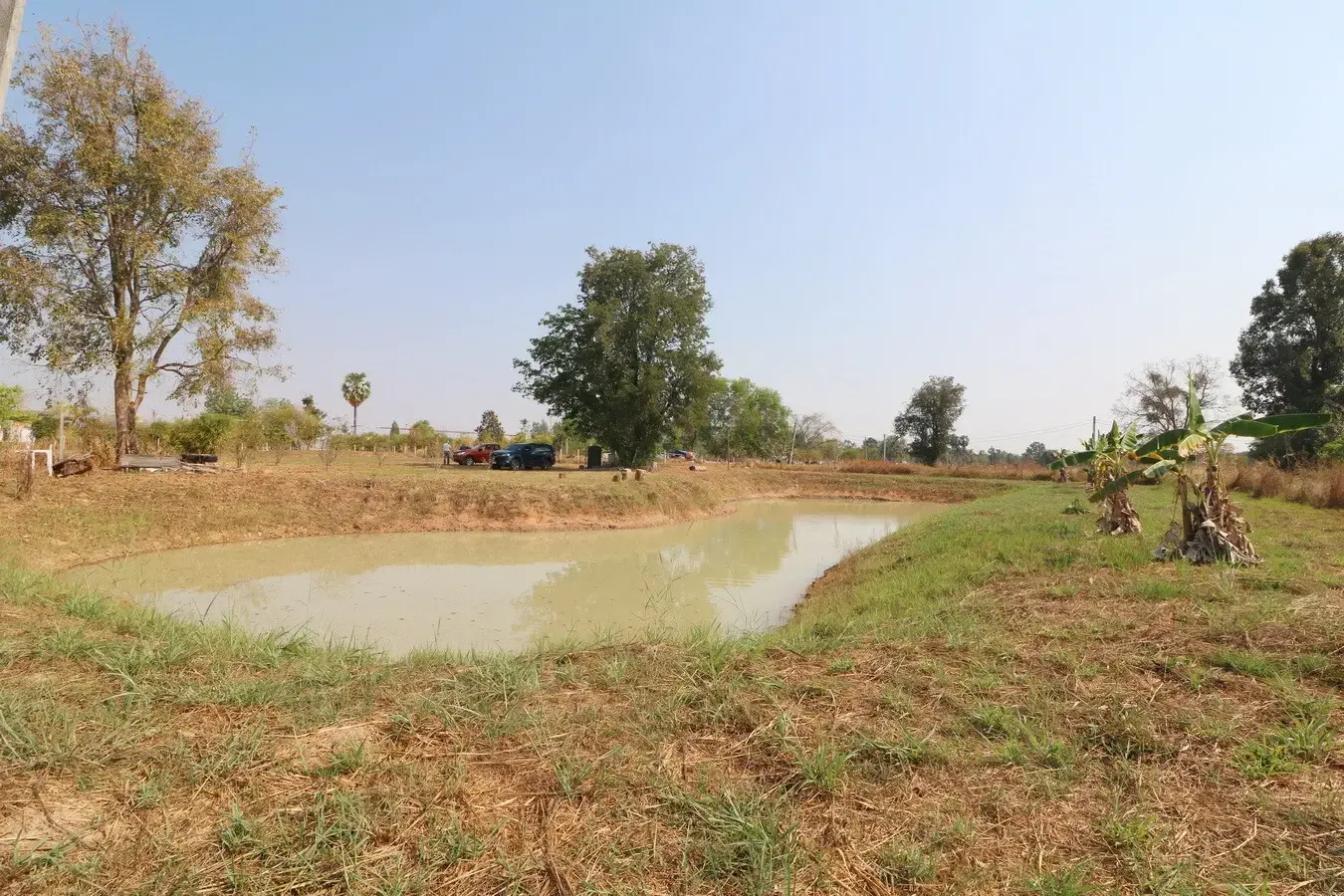 3 Rai Land + 1 Bed Bungalow for Sale in Ban Fang, Khon Kaen, Thailand