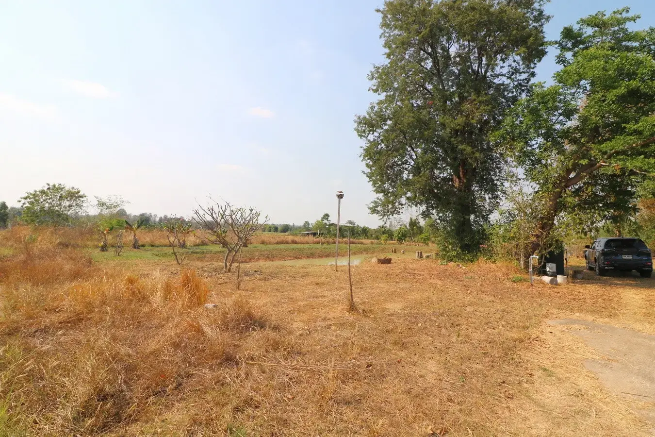 3 Rai Land + 1 Bed Bungalow for Sale in Ban Fang, Khon Kaen, Thailand