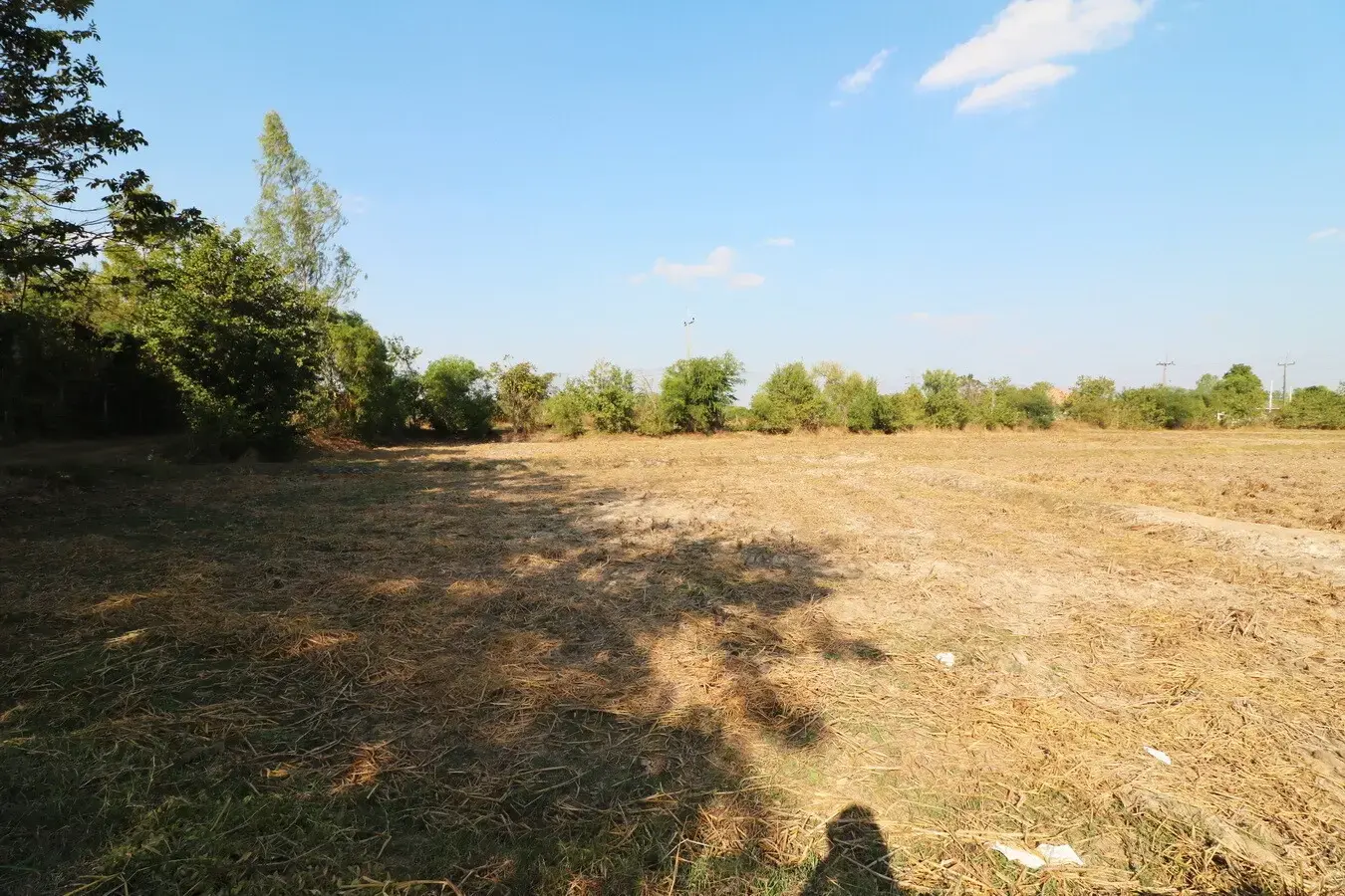 Land For Sale, 5 Rai, 1 Ngan, 83 Talang Wah Nong Khon Kwang, Udon Thani, Thailand.