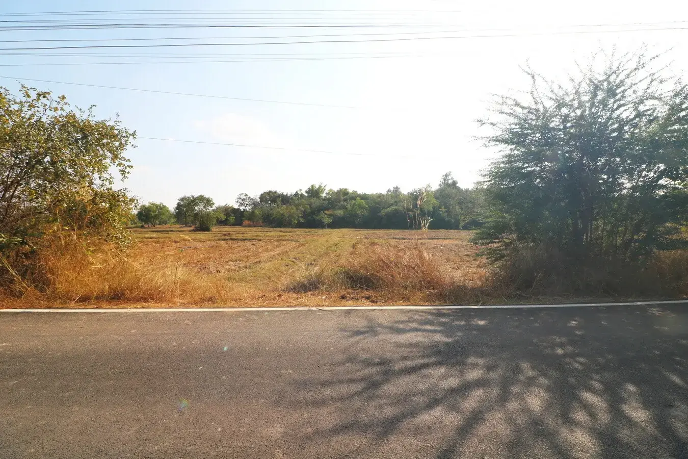 Land For Sale, 5 Rai, 1 Ngan, 83 Talang Wah Nong Khon Kwang, Udon Thani, Thailand.