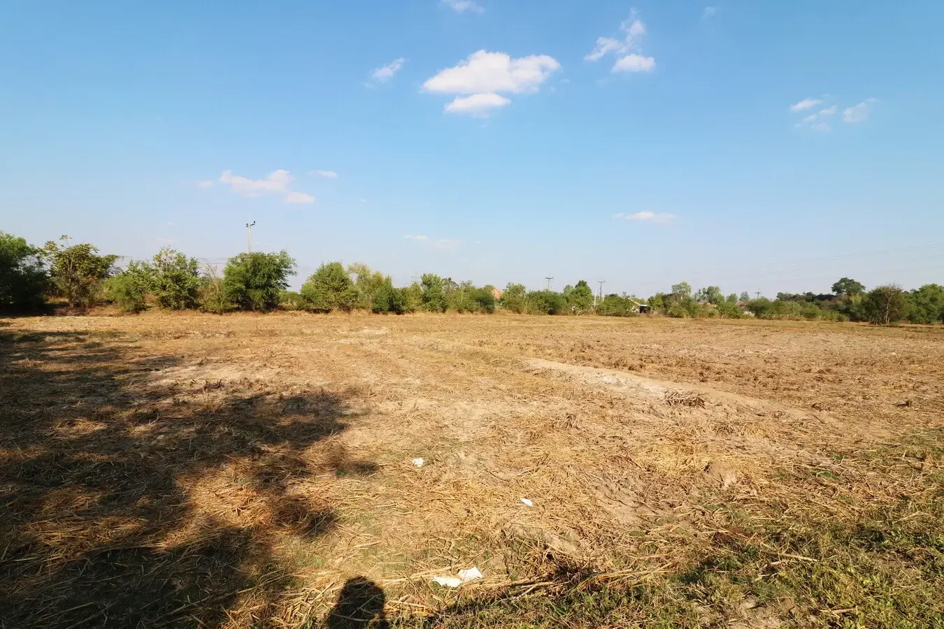 Land For Sale, 5 Rai, 1 Ngan, 83 Talang Wah Nong Khon Kwang, Udon Thani, Thailand.