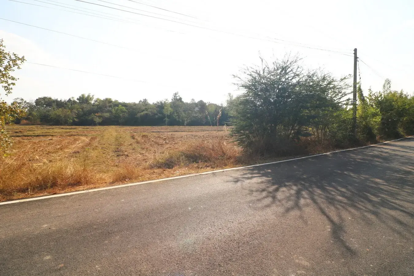 Land For Sale, 5 Rai, 1 Ngan, 83 Talang Wah Nong Khon Kwang, Udon Thani, Thailand.