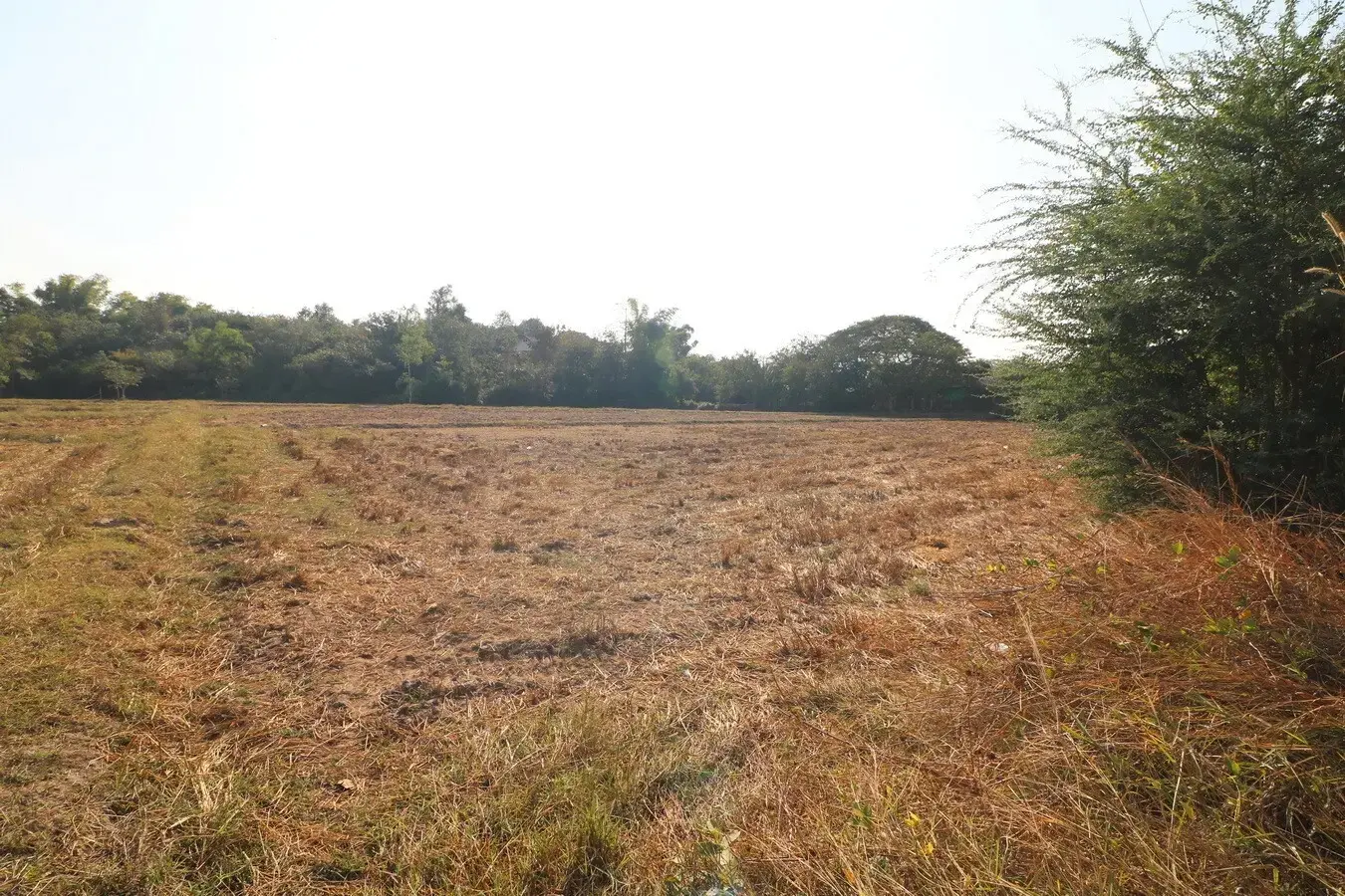 Land For Sale, 5 Rai, 1 Ngan, 83 Talang Wah Nong Khon Kwang, Udon Thani, Thailand.