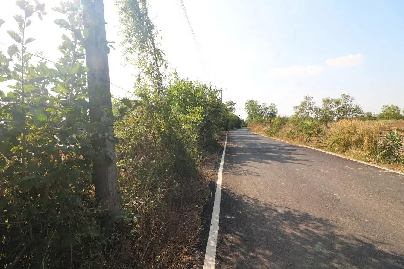Land For Sale, 5 Rai, 1 Ngan, 83 Talang Wah Nong Khon Kwang, Udon Thani, Thailand.