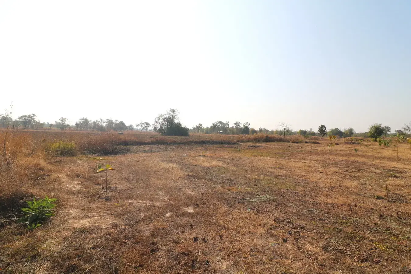 26+ Rai Of Land For Sale, Ideal For Development Nong Na Kham, Udon Thani, Thailand