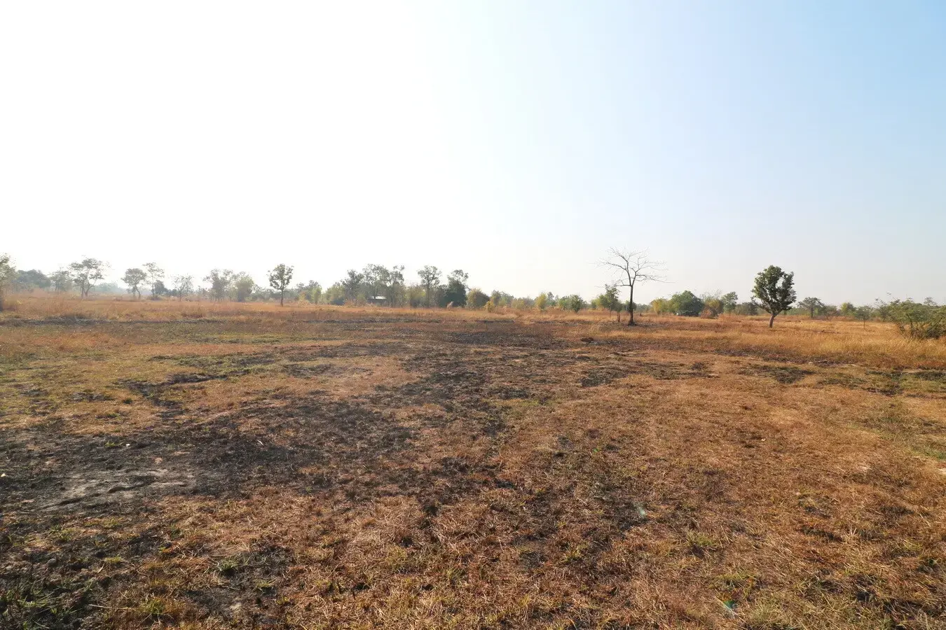 26+ Rai Of Land For Sale, Ideal For Development Nong Na Kham, Udon Thani, Thailand