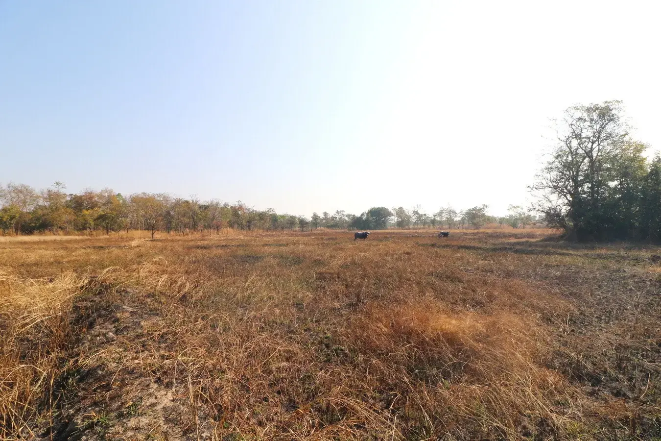 26+ Rai Of Land For Sale, Ideal For Development Nong Na Kham, Udon Thani, Thailand