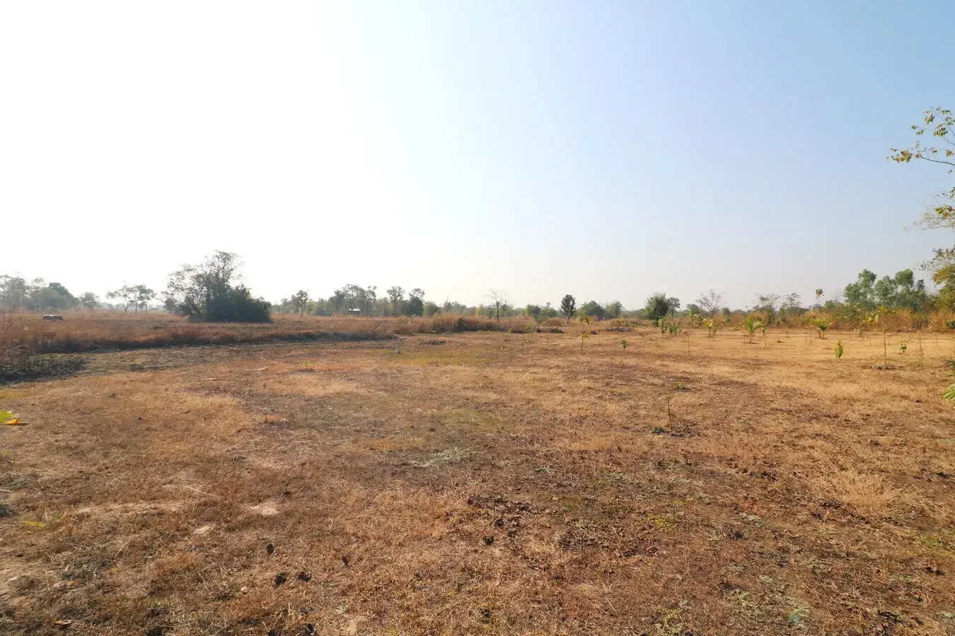 26+ Rai Of Land For Sale, Ideal For Development Nong Na Kham, Udon Thani, Thailand