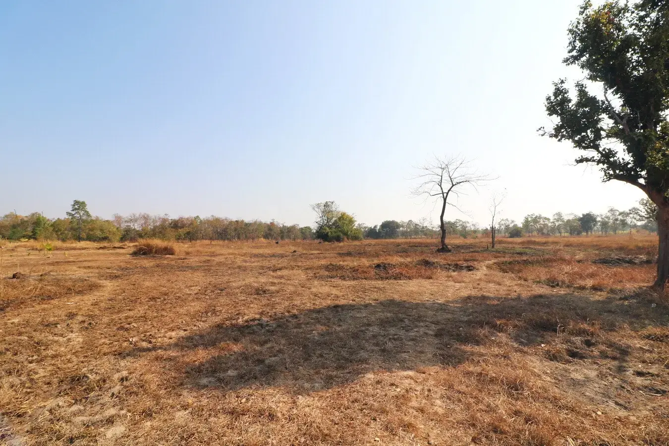 26+ Rai Of Land For Sale, Ideal For Development Nong Na Kham, Udon Thani, Thailand