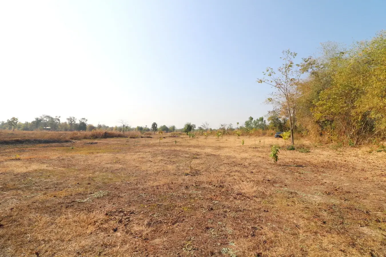 26+ Rai Of Land For Sale, Ideal For Development Nong Na Kham, Udon Thani, Thailand
