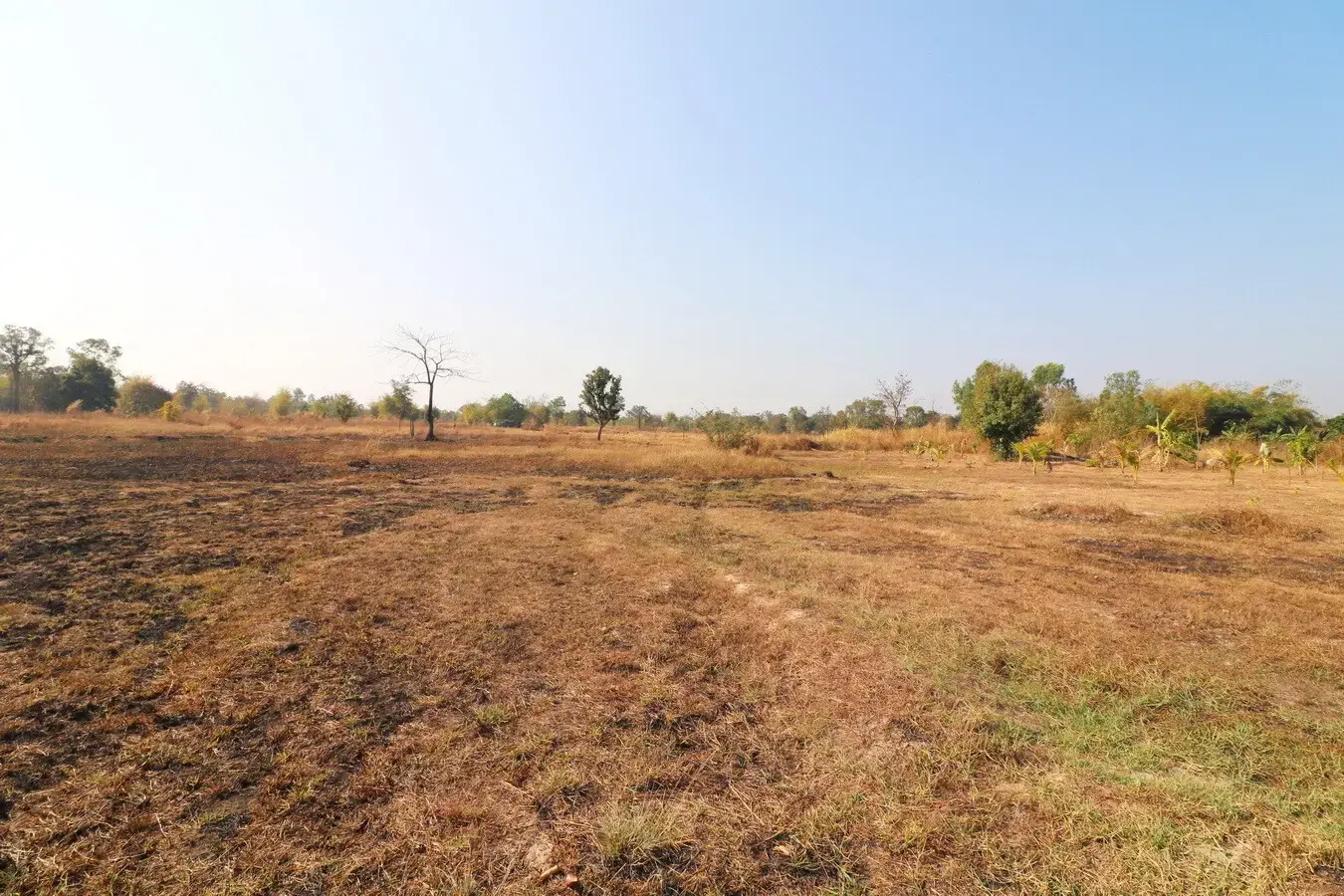 26+ Rai Of Land For Sale, Ideal For Development Nong Na Kham, Udon Thani, Thailand