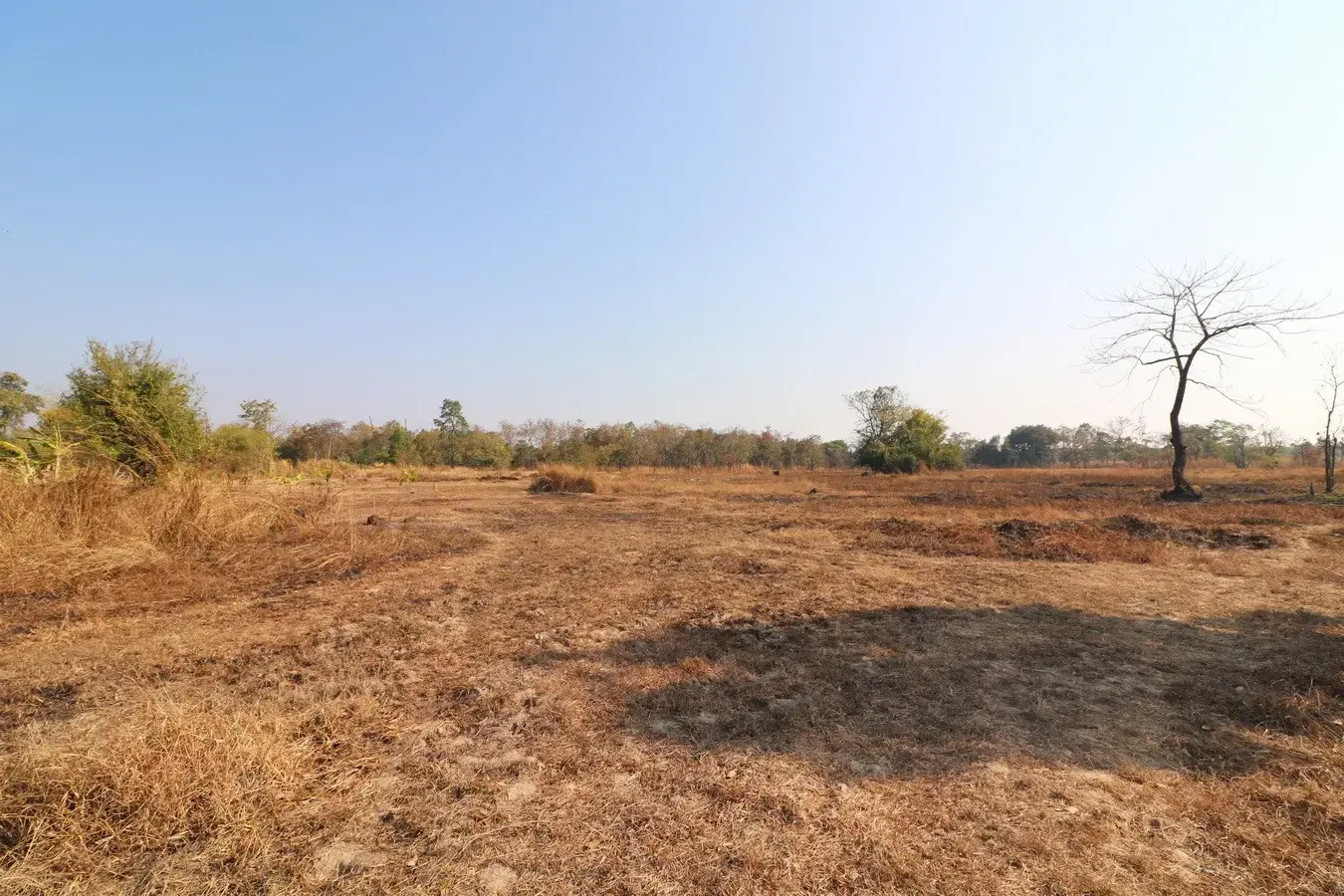 26+ Rai Of Land For Sale, Ideal For Development Nong Na Kham, Udon Thani, Thailand