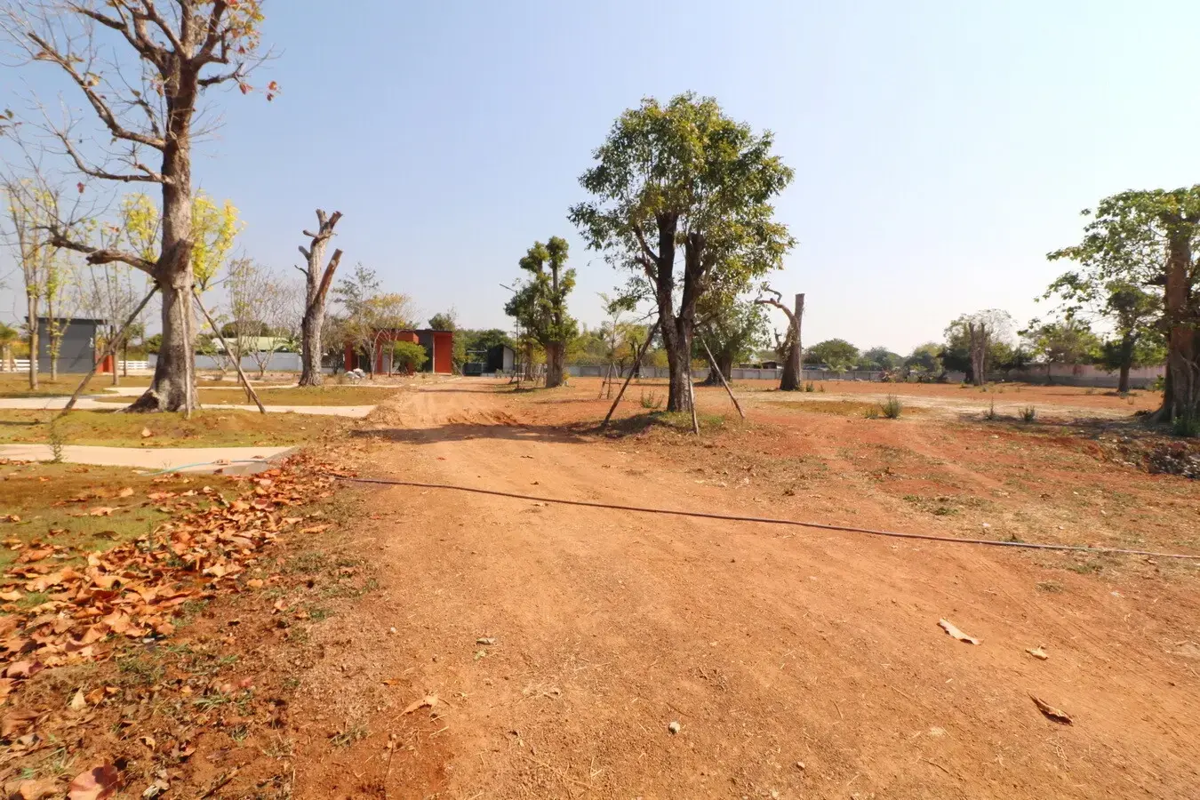 Prime 6+ Rai Resort Or Housing Land for Sale in Sam Phrao, Udon Thani, Thailand – Development Opportunity!
