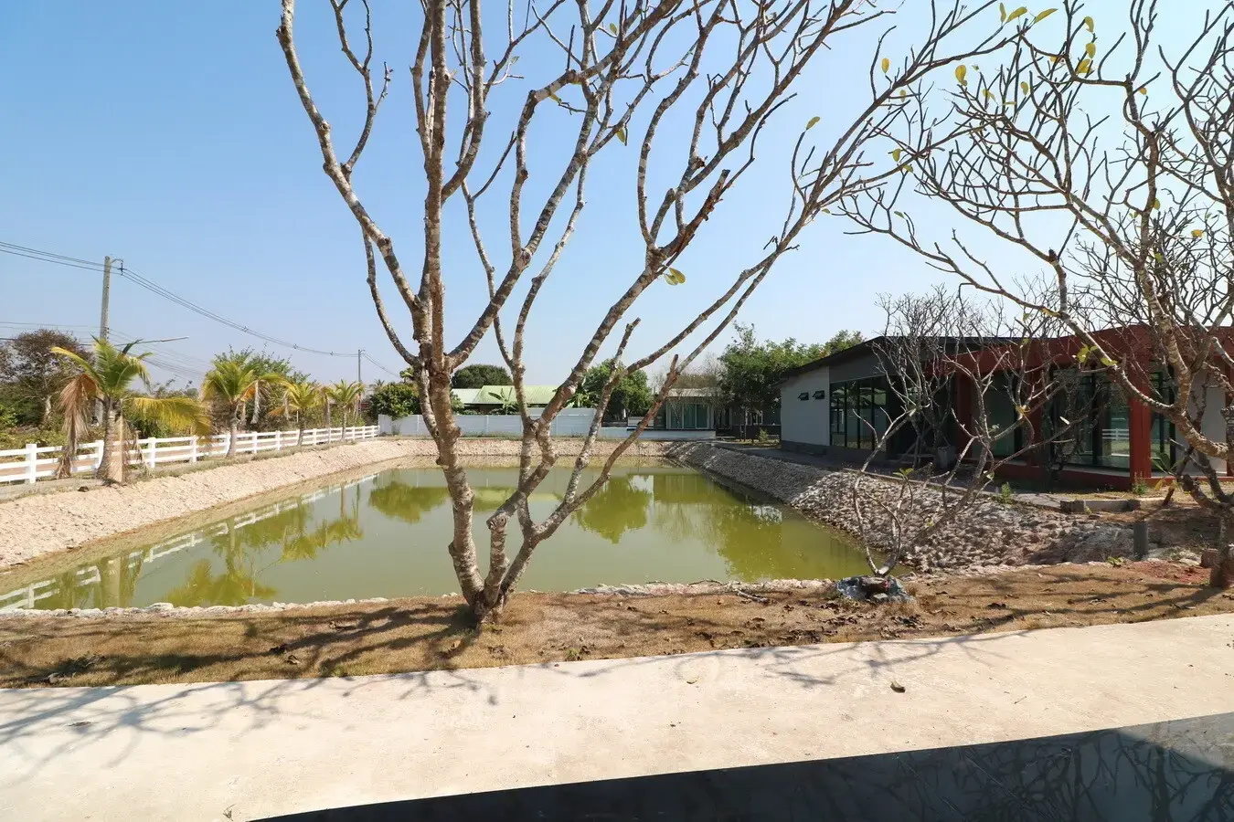 Prime 6+ Rai Resort Or Housing Land for Sale in Sam Phrao, Udon Thani, Thailand – Development Opportunity!
