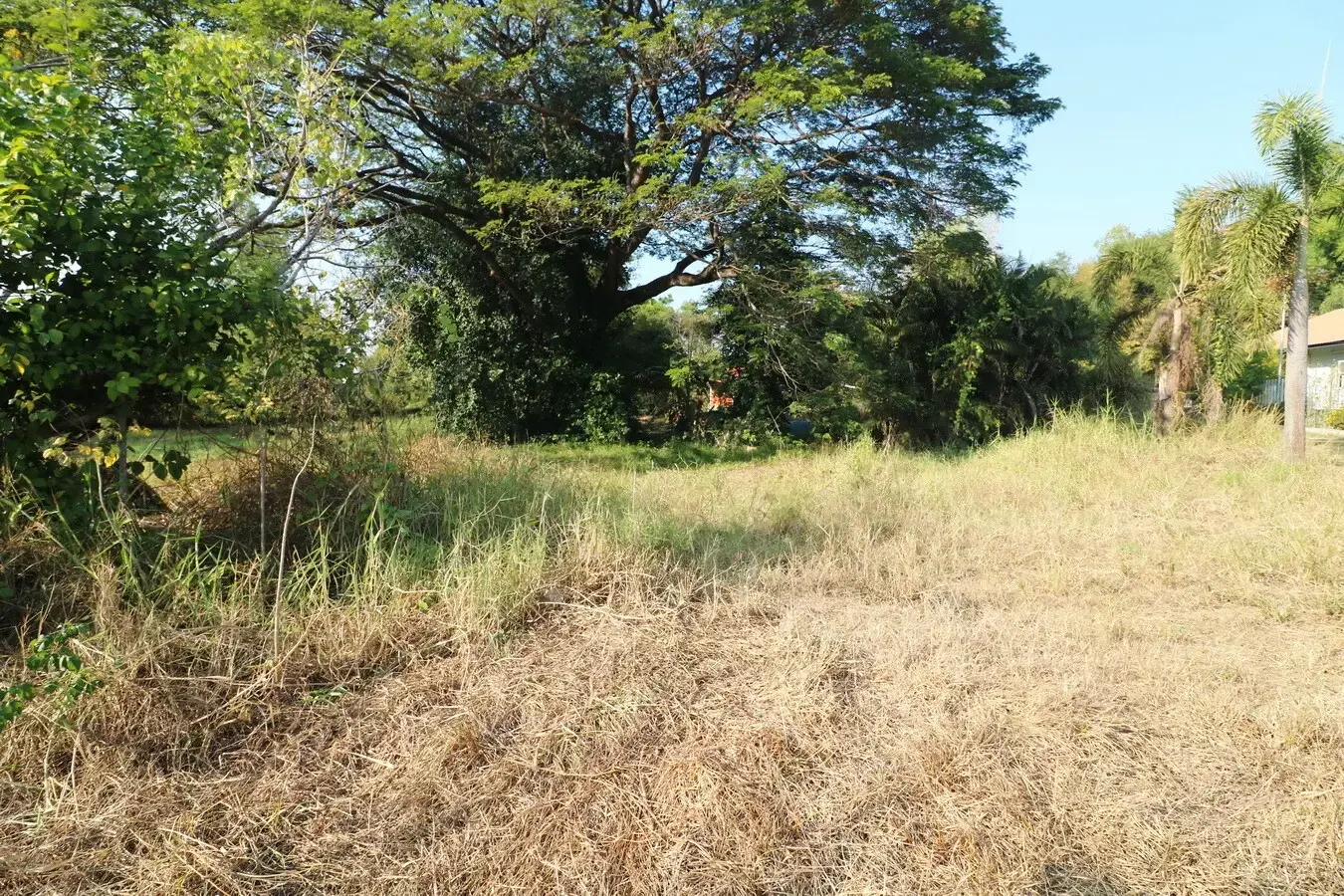 Land For Sale 1 Rai, In Good Location With A Quiet Atmosphere Kut Sa, Udon Thani, Thailand