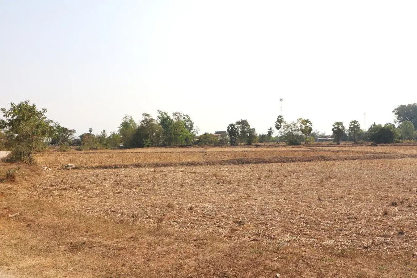 Land for Sale: 21 Rai In Phen, Udon Thani, Thailand