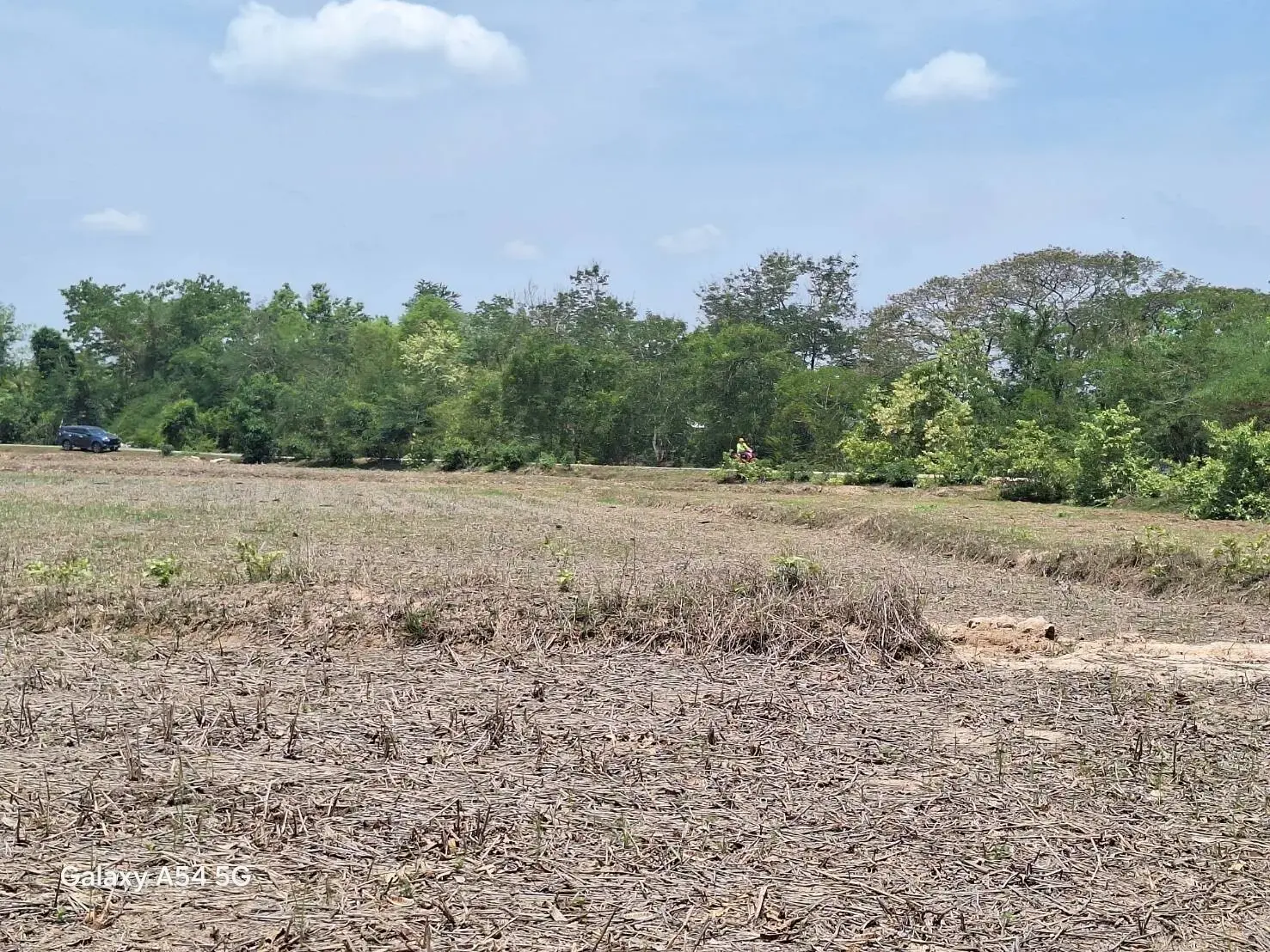 Land for Sale: 21 Rai In Phen, Udon Thani, Thailand