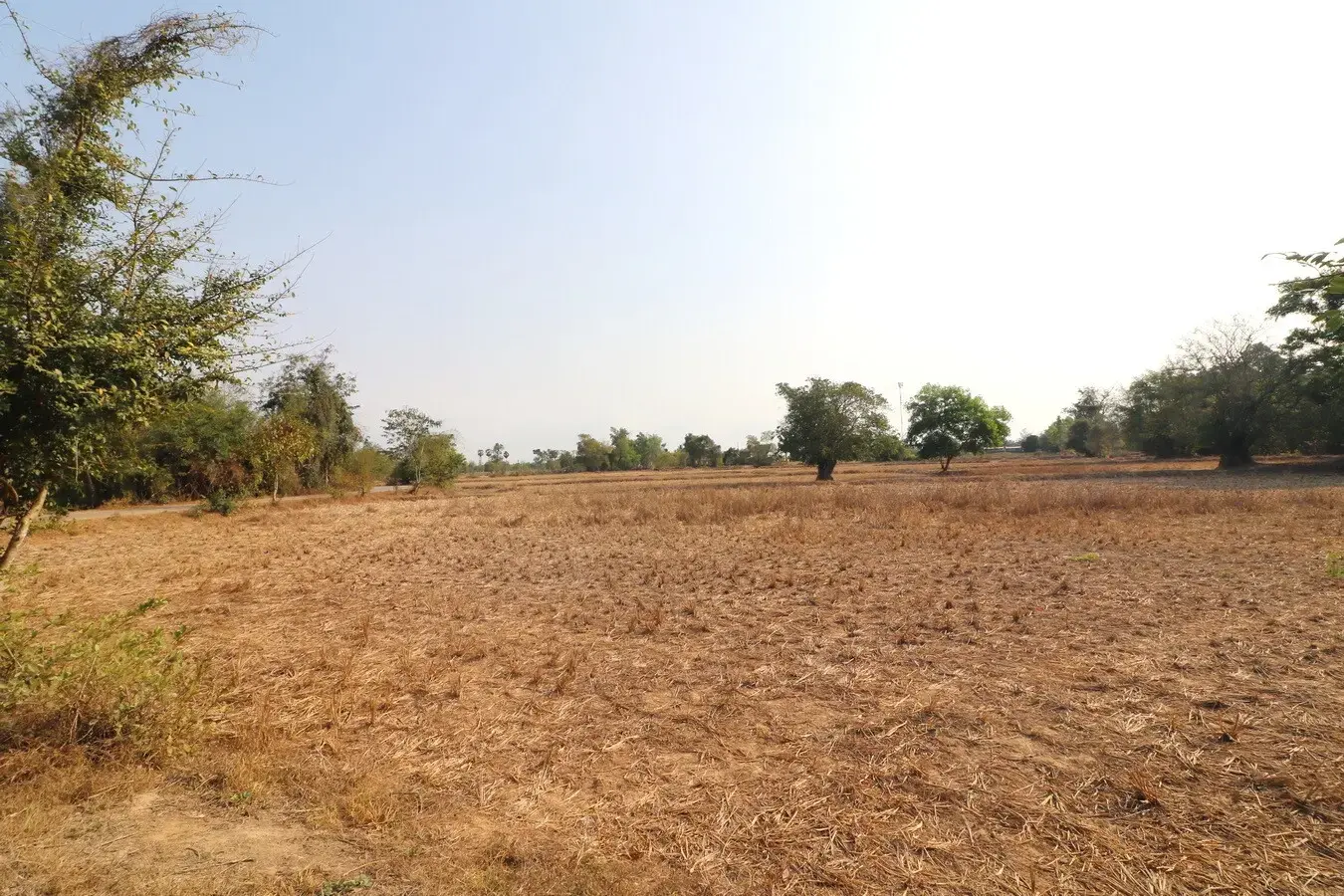 Land for Sale: 21 Rai In Phen, Udon Thani, Thailand