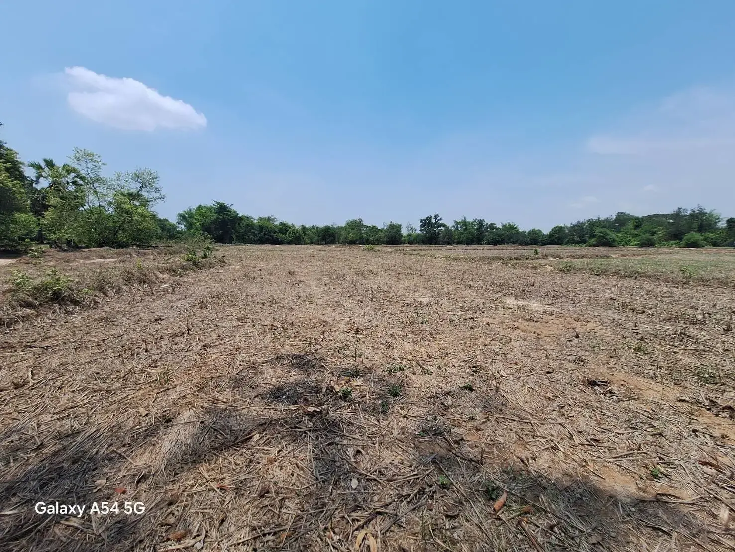 Land for Sale: 21 Rai In Phen, Udon Thani, Thailand