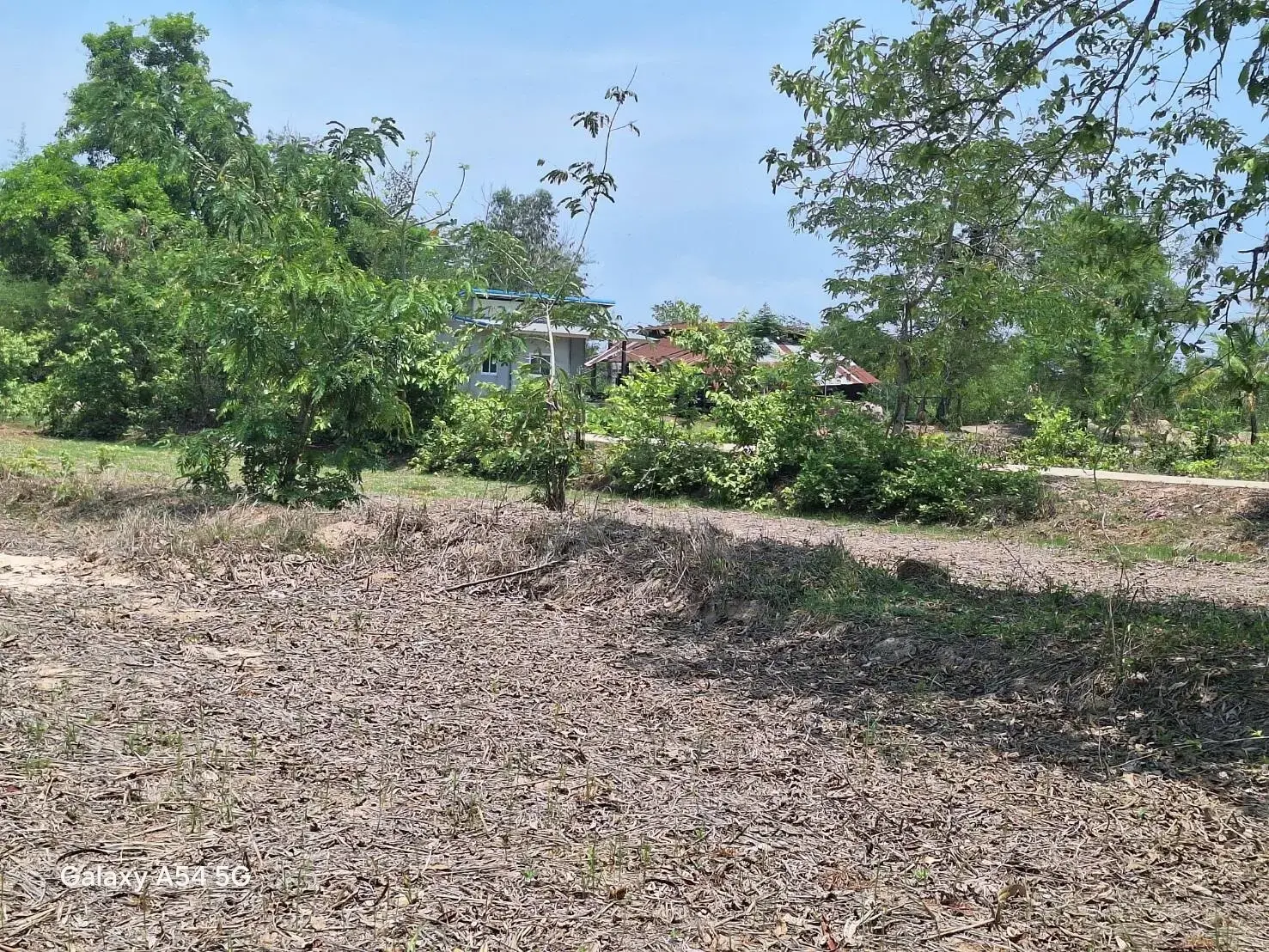 Land for Sale: 21 Rai In Phen, Udon Thani, Thailand