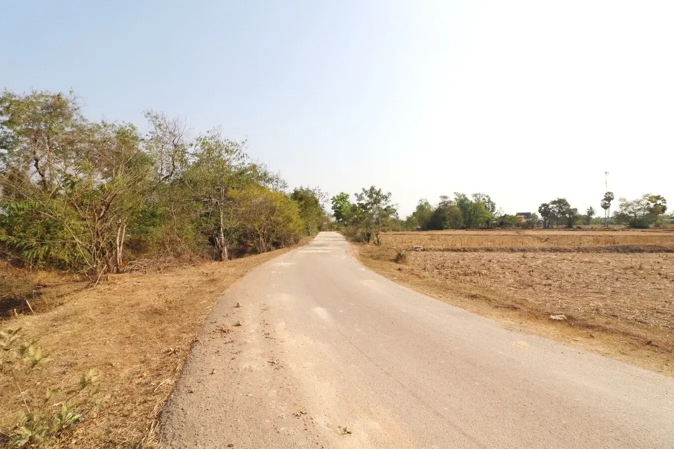 Land for Sale: 21 Rai In Phen, Udon Thani, Thailand