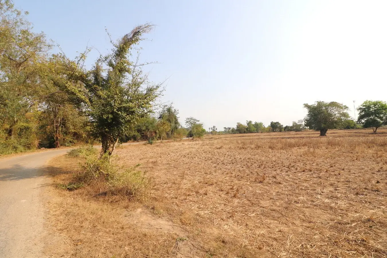 Land for Sale: 21 Rai In Phen, Udon Thani, Thailand