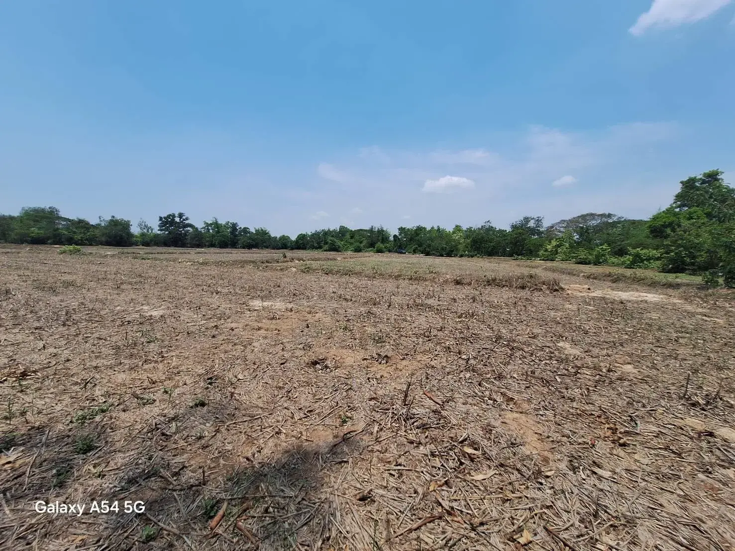 Land for Sale: 21 Rai In Phen, Udon Thani, Thailand