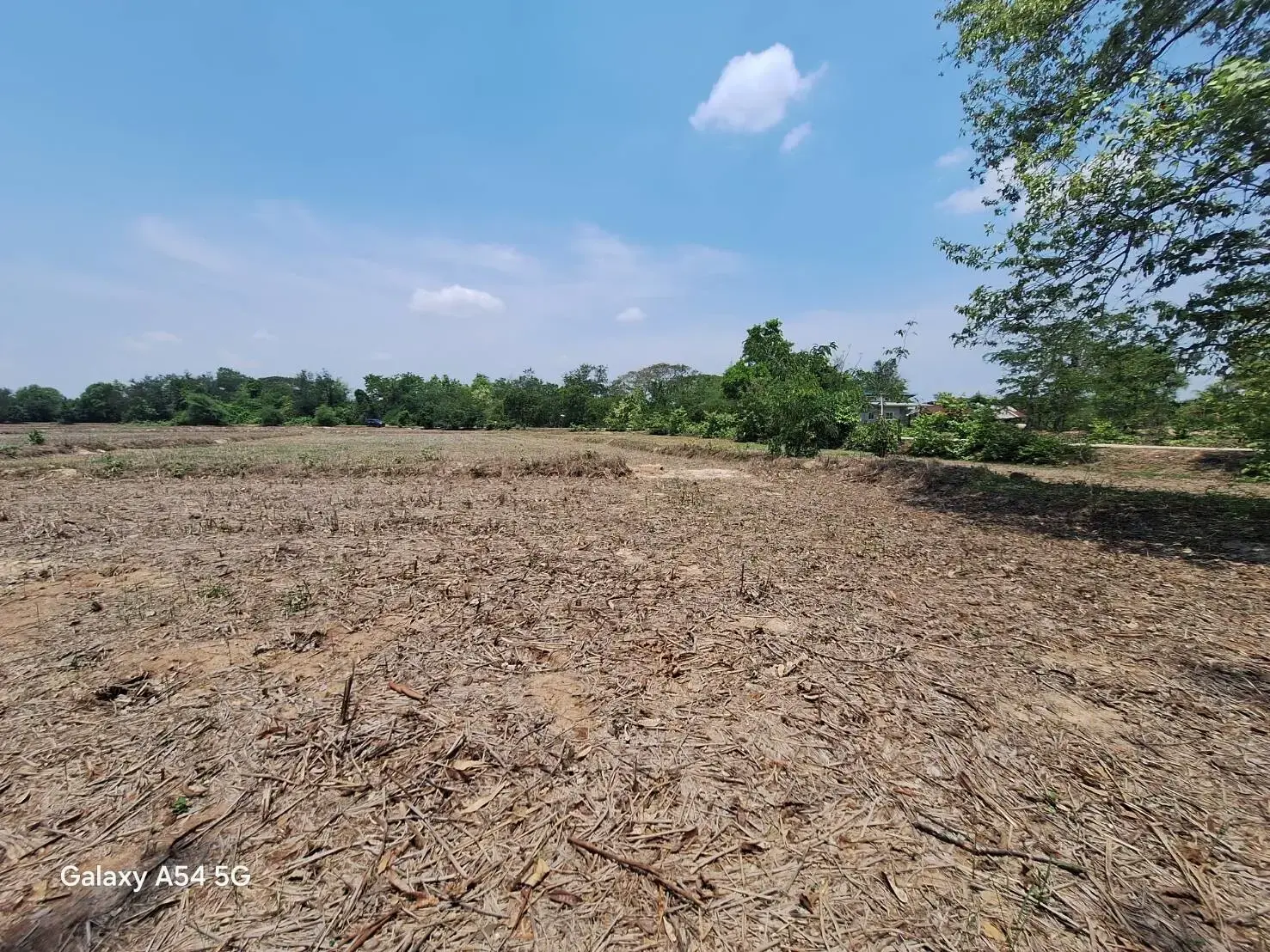 Land for Sale: 21 Rai In Phen, Udon Thani, Thailand