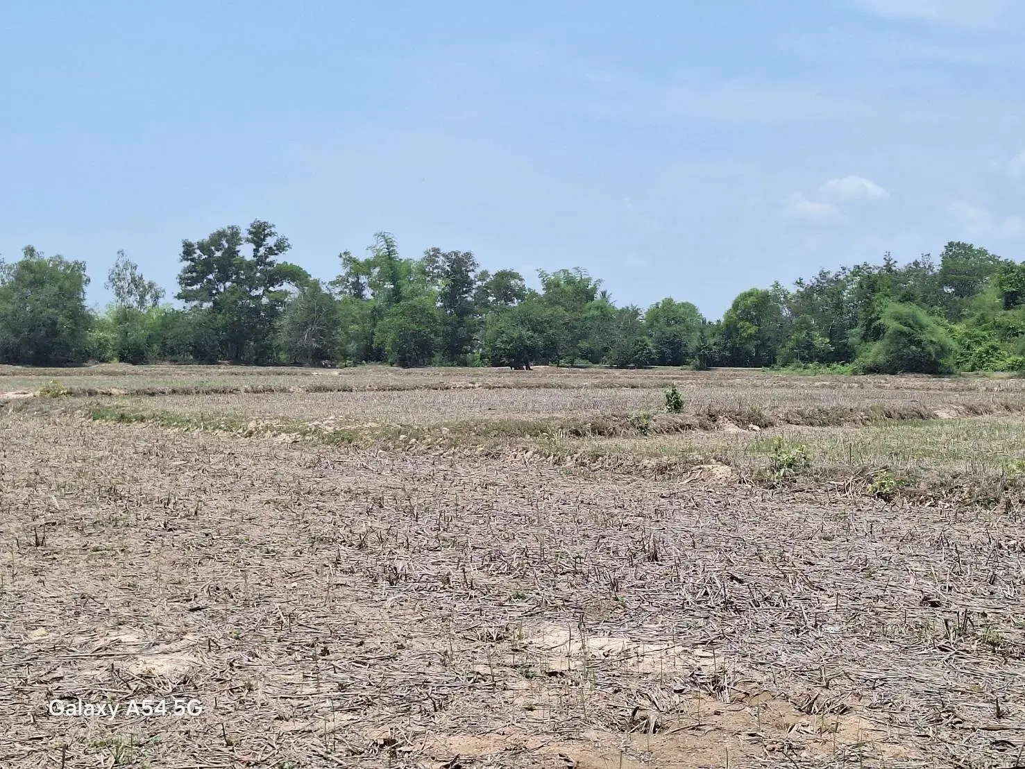Land for Sale: 21 Rai In Phen, Udon Thani, Thailand