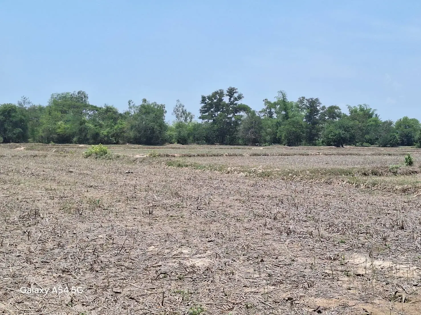 Land for Sale: 21 Rai In Phen, Udon Thani, Thailand