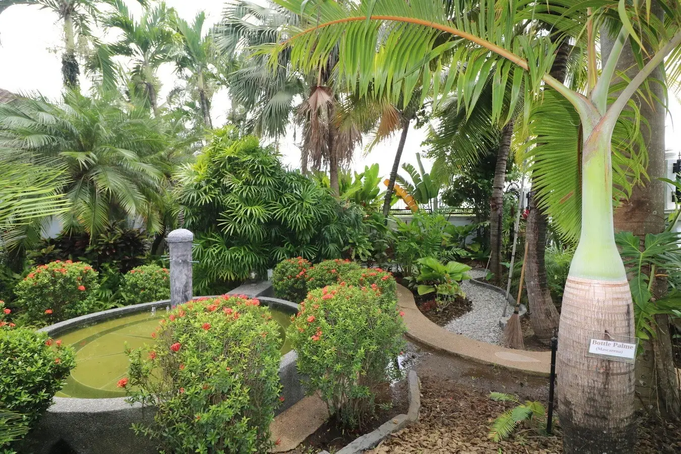 3 Bedroom, 3 Bathroom Home For Sale In Nong Sai, Udon Thani, Thailand.