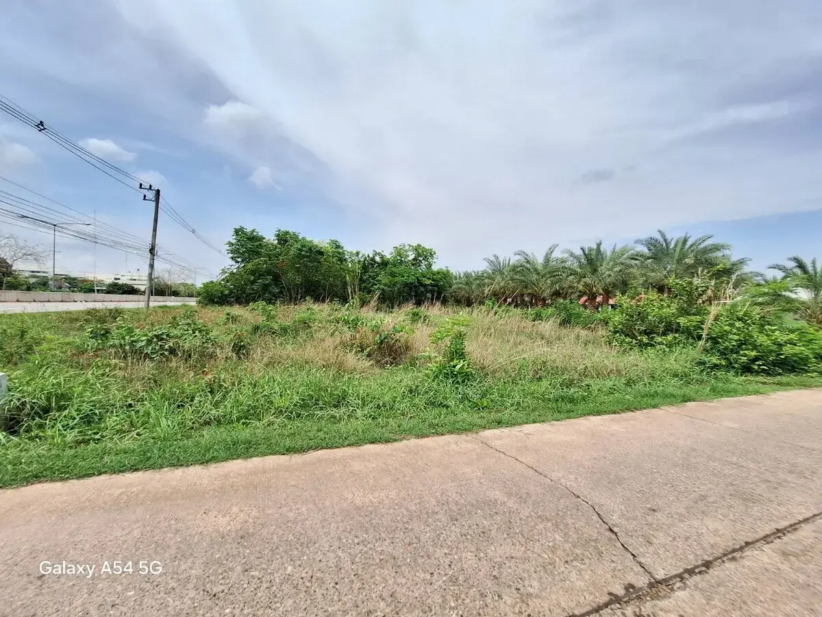 Prime Land of 1,004 Sq. Mt For Sale with Highway Frontage In Nong Bua Lam Phu, Thailand