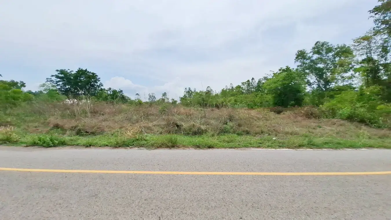 1 Rai, 12 Talang Wah Or 1648 Sq. Mt Of Land For Sale In Nong Bua Lam Phu, Thailand