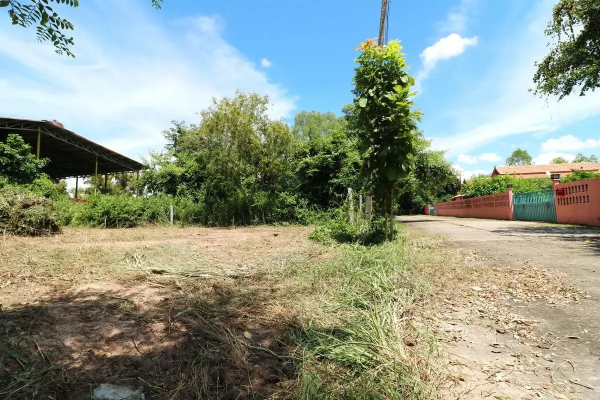 386.4 Sq. Mt. Building Land For Sale, Non Sung, Udon Thani, Thailand