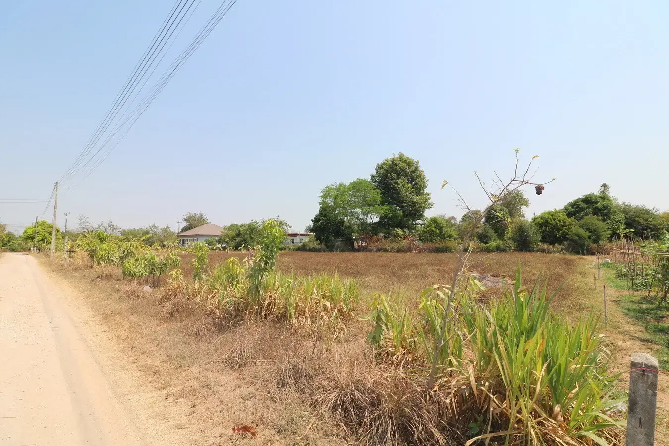 7 Building Plots Of Land For Sale in Tha Phra, Khon Kaen, Thailand