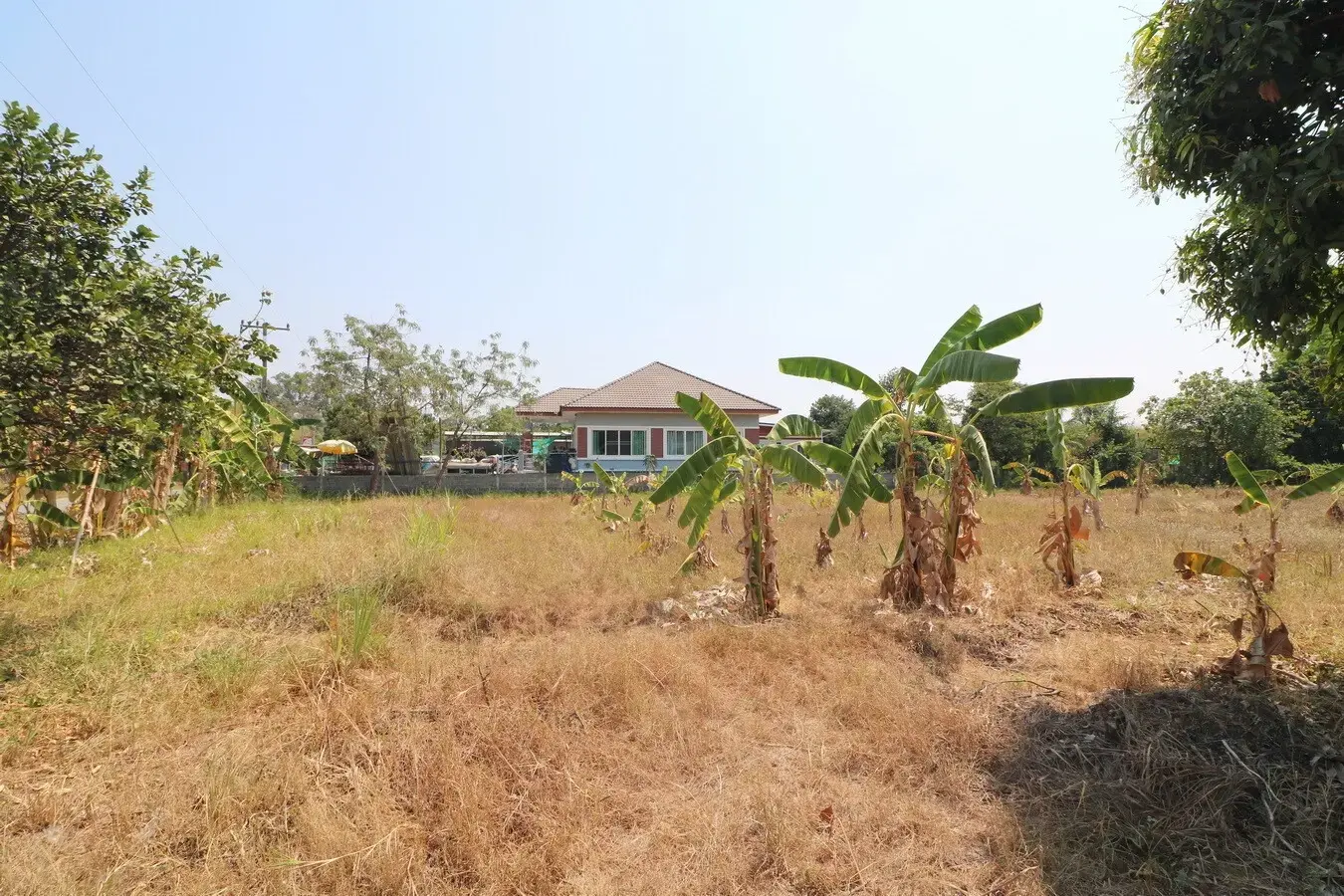 7 Building Plots Of Land For Sale in Tha Phra, Khon Kaen, Thailand