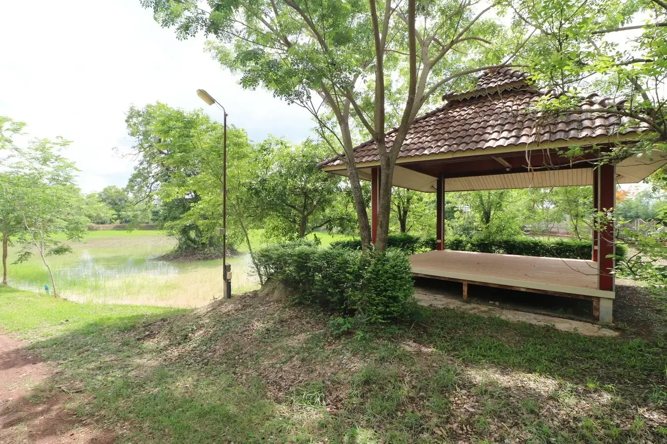 32+ Rai Of Land, Homes With Rare Investment Trees For Sale In Naam Sueai, Sakhrai, Nong Khai, Thailand