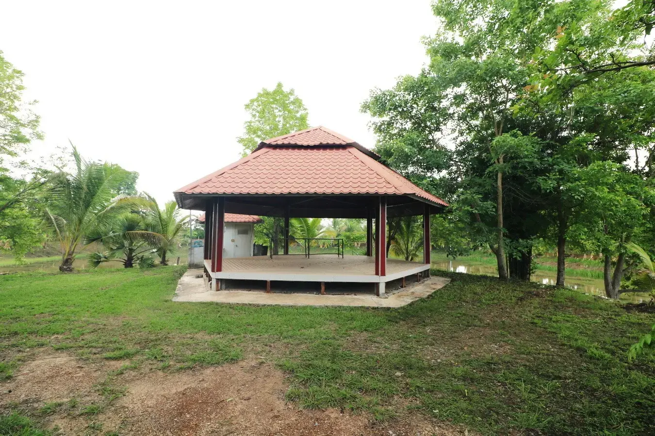 32+ Rai Of Land, Homes With Rare Investment Trees For Sale In Naam Sueai, Sakhrai, Nong Khai, Thailand