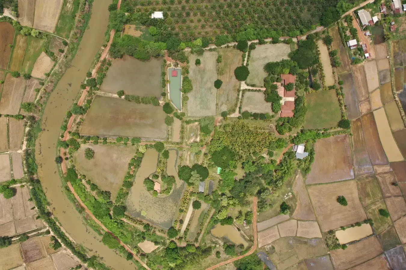 32+ Rai Of Land, Homes With Rare Investment Trees For Sale In Naam Sueai, Sakhrai, Nong Khai, Thailand