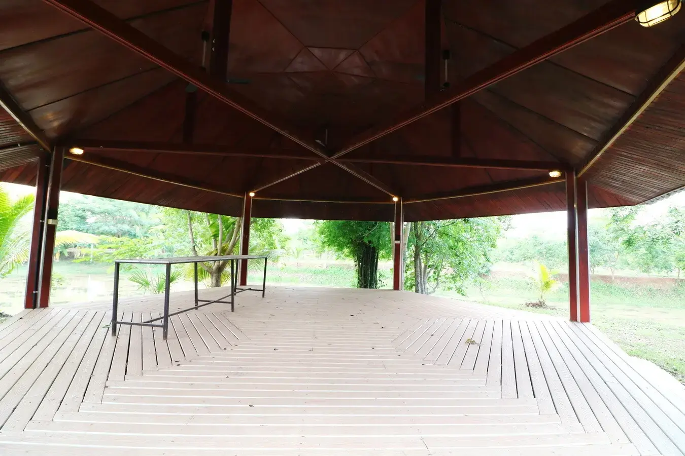 32+ Rai Of Land, Homes With Rare Investment Trees For Sale In Naam Sueai, Sakhrai, Nong Khai, Thailand