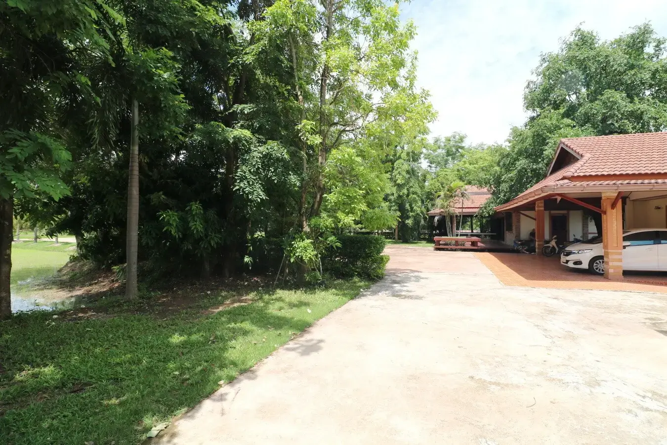 32+ Rai Of Land, Homes With Rare Investment Trees For Sale In Naam Sueai, Sakhrai, Nong Khai, Thailand