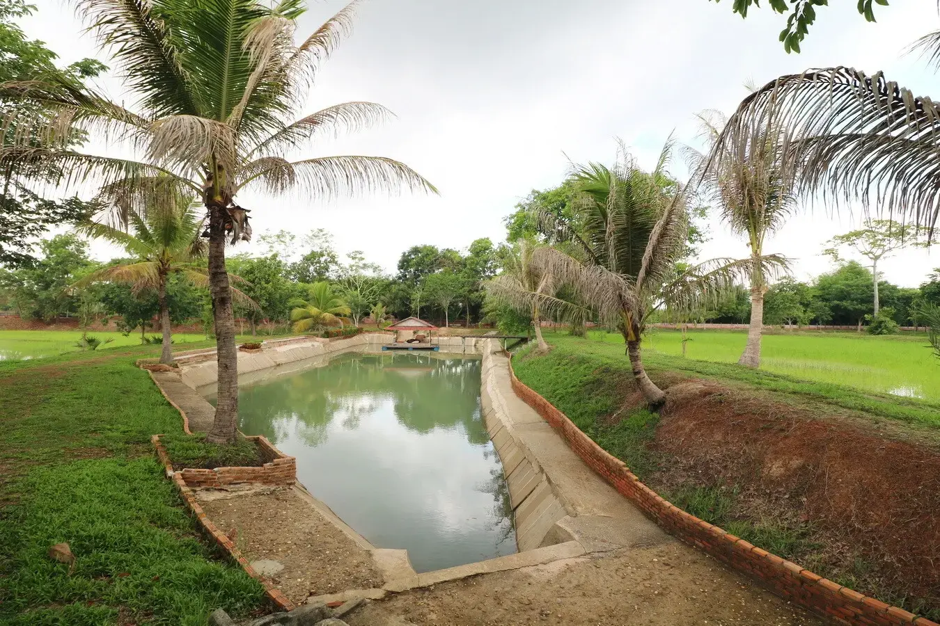 32+ Rai Of Land, Homes With Rare Investment Trees For Sale In Naam Sueai, Sakhrai, Nong Khai, Thailand