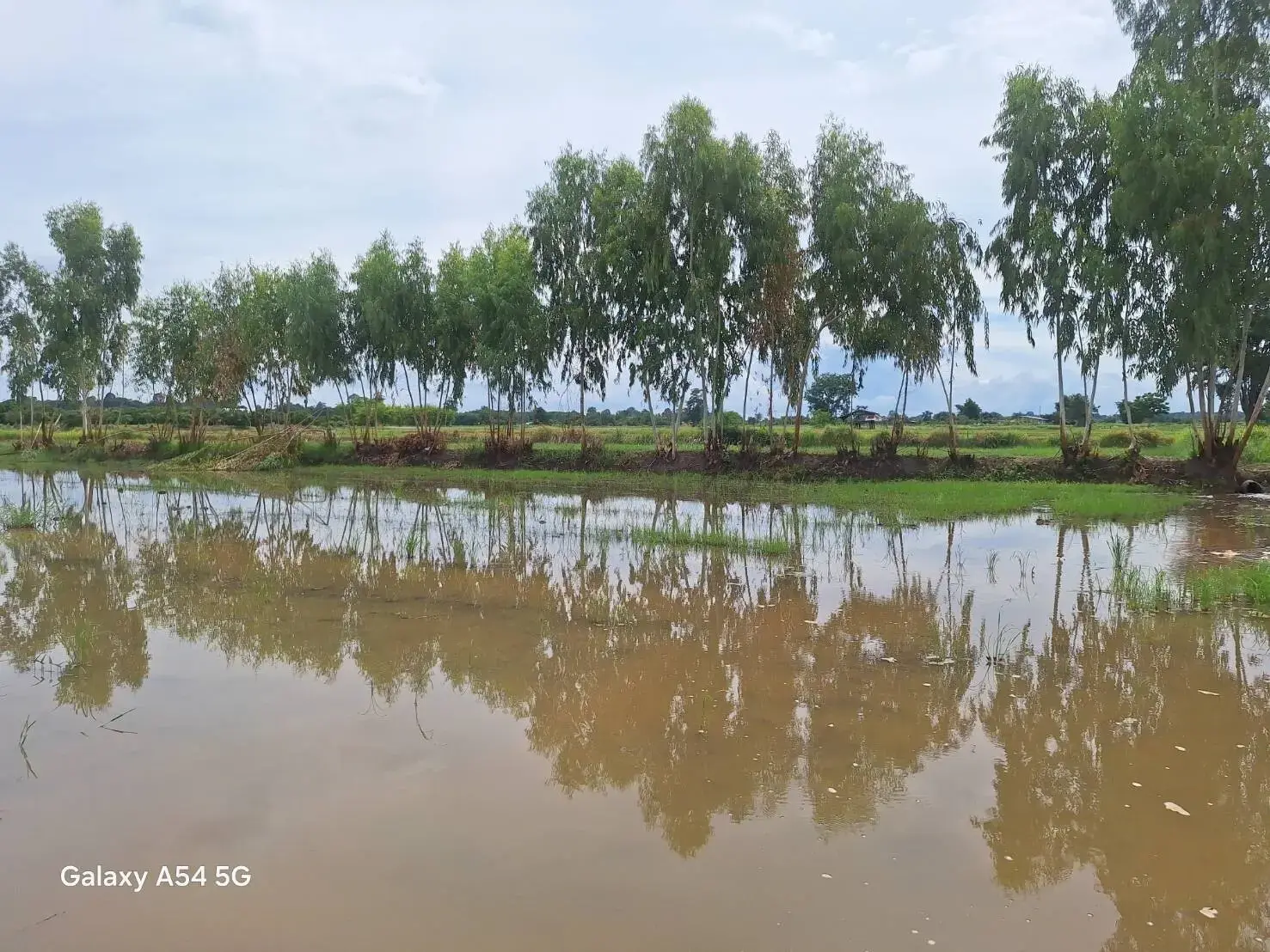 5+ Rai Of Opportunity Land For Sale, Ban Tat, Udon Thani, Thailand