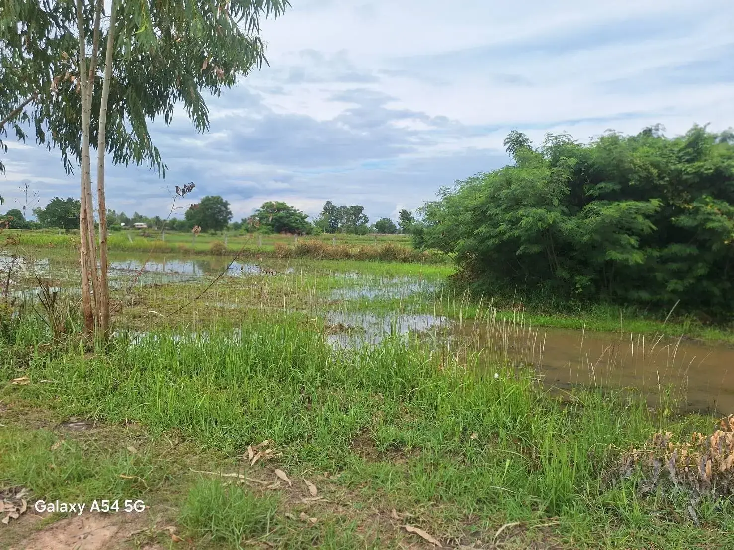 5+ Rai Of Opportunity Land For Sale, Ban Tat, Udon Thani, Thailand