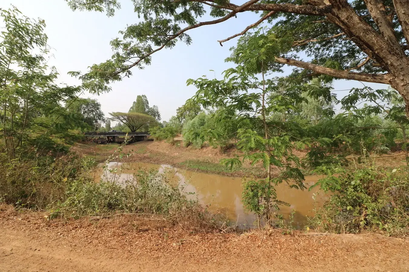 1 Ngan, 59 Talang Wah, 636 Sq, Mt Levelled Land For Sale in Nong Na Kham, Udon Thani, Thailand
