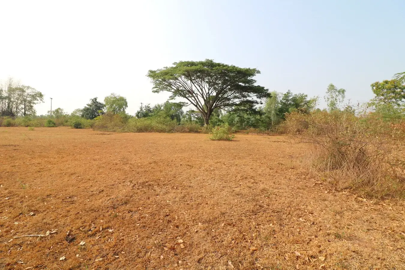 1 Ngan, 59 Talang Wah, 636 Sq, Mt Levelled Land For Sale in Nong Na Kham, Udon Thani, Thailand